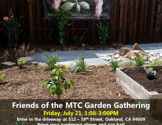 Friends Of The Mtc Garden